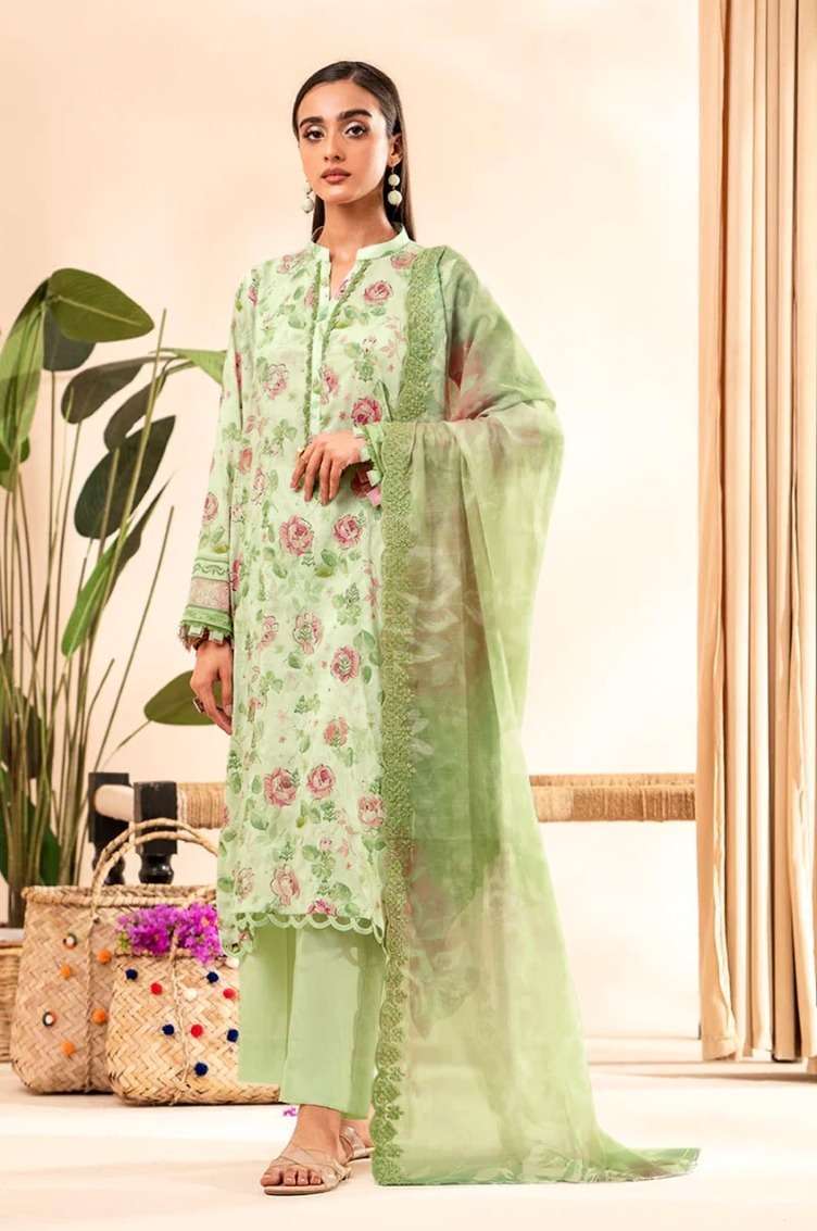 Taj 504 And 505 Cotton Dupatta Pakistani Suits Wholesaler of Pakistani Suits in Surat