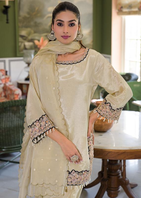 Afsana Noor catalog pakistani kurtis wholesale in surat - Sanvari Fashion